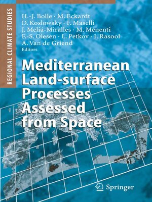 cover image of Mediterranean Land-surface Processes Assessed from Space